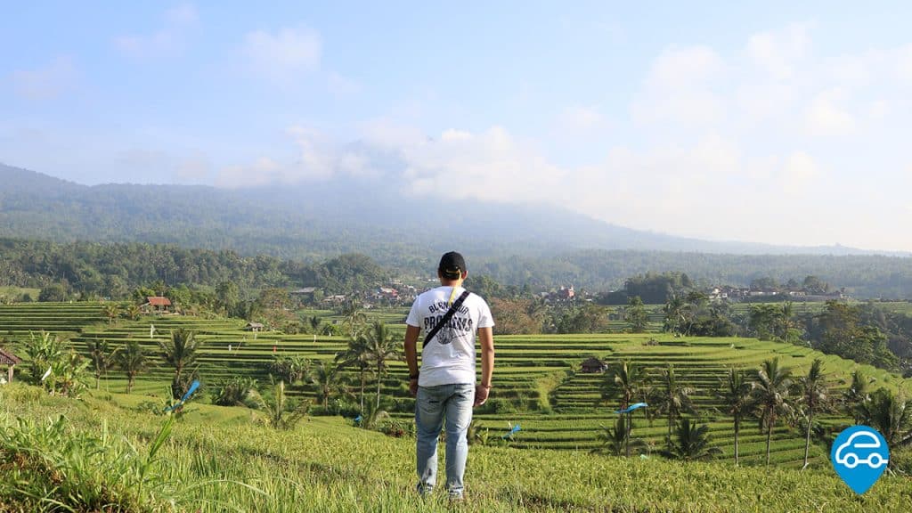 Jatiluwih Tanah Lot Sunset Tour